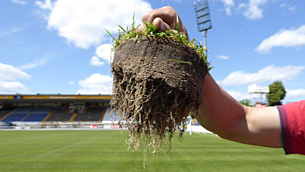 Darmstadt 98 | Merck-Stadion am Böllenfalltor