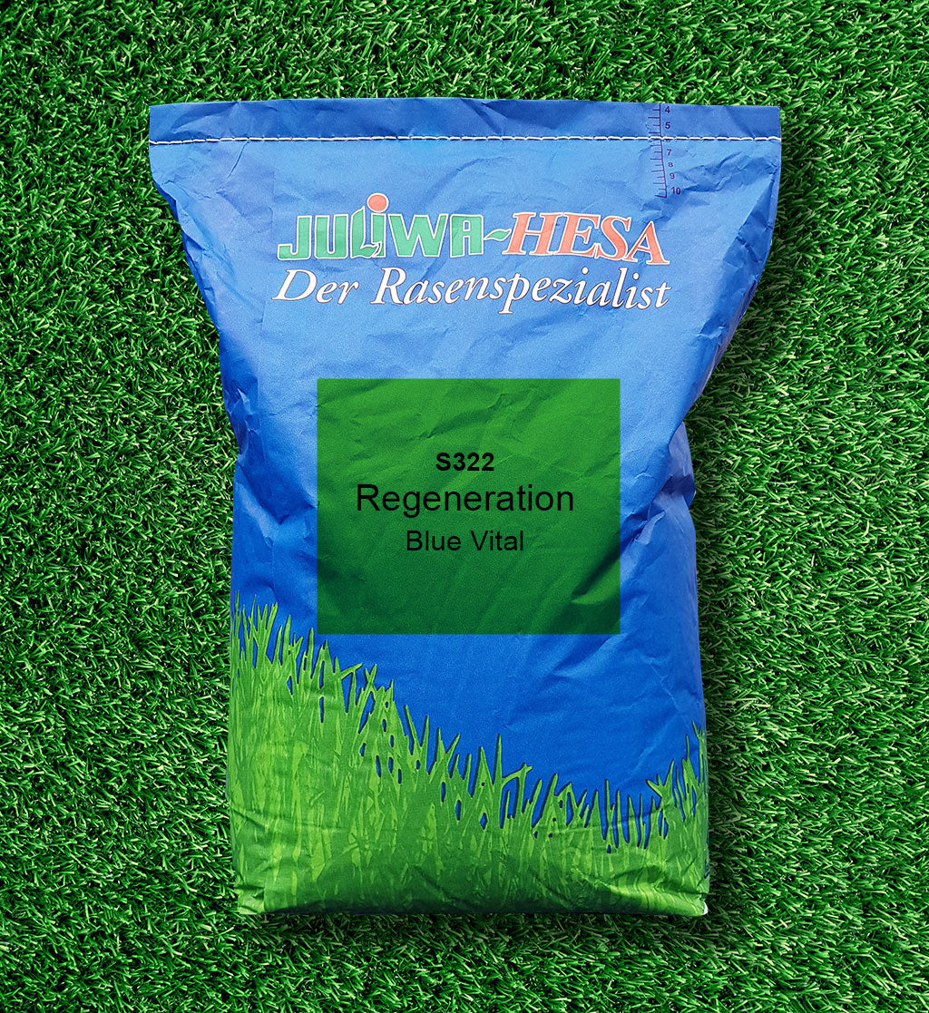 S 322 Regeneration mit Poa pratensis "BlueVital"