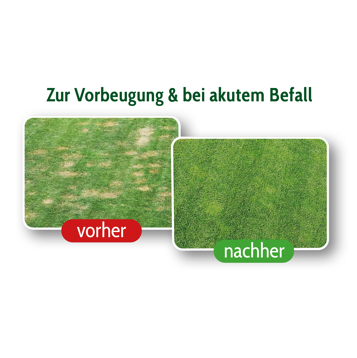 Kombipack: Wurzelschutz mit Sprayer