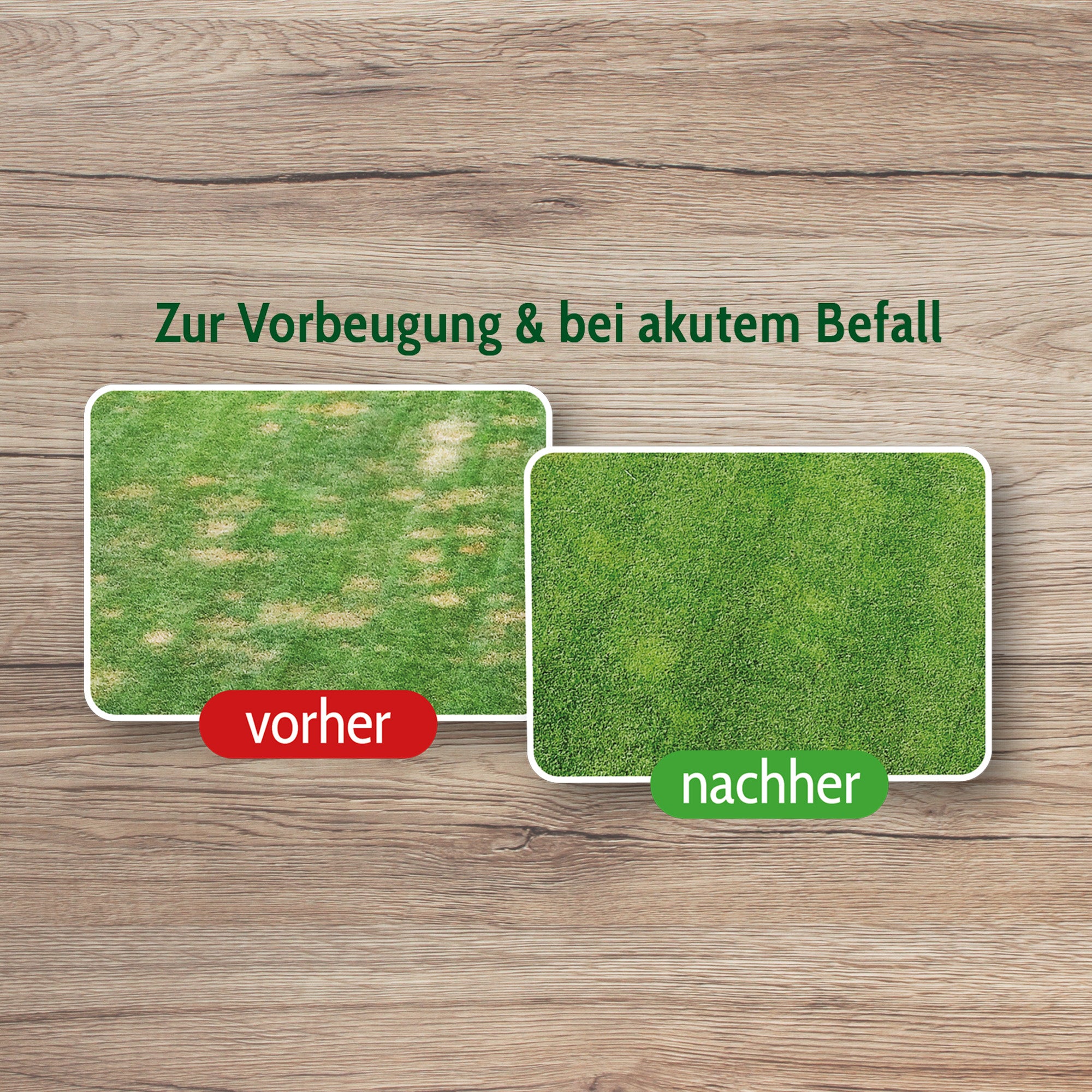 Animatio Wurzelschutz, 1 L