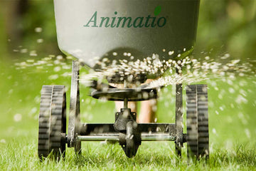 Was ist besser - von Hand düngen, mit Kasten- oder Tellerstreuer?