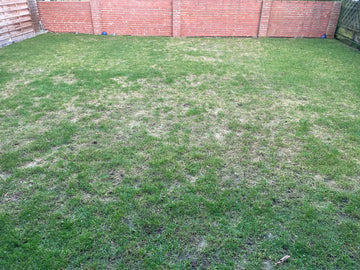 Frühjahrsdüngung für den Rasen: 5 Greenkeeper-Tipps für einen perfekten Saisonstart