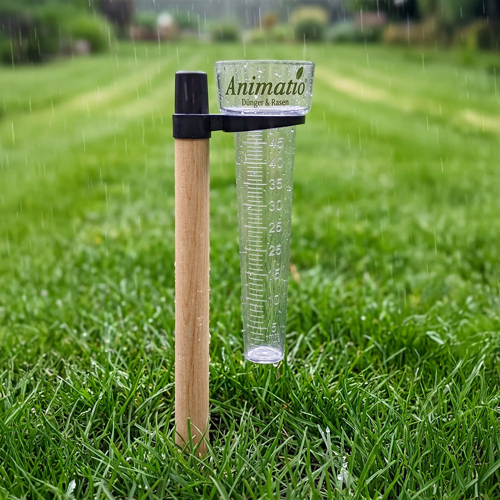 Animatio® Regenmesser